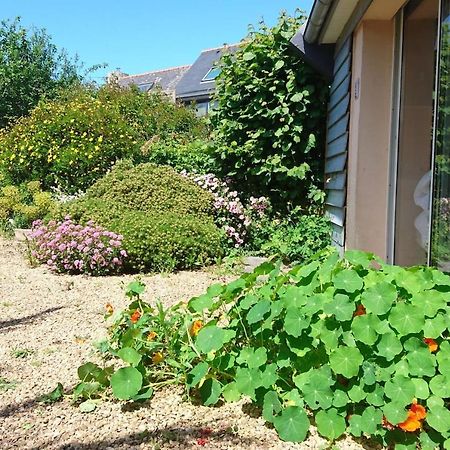Le Petit Cottage Entre Village Et Mer Trélévern Dış mekan fotoğraf