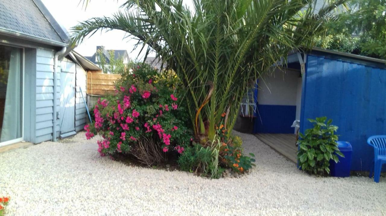 Le Petit Cottage Entre Village Et Mer Trélévern Dış mekan fotoğraf