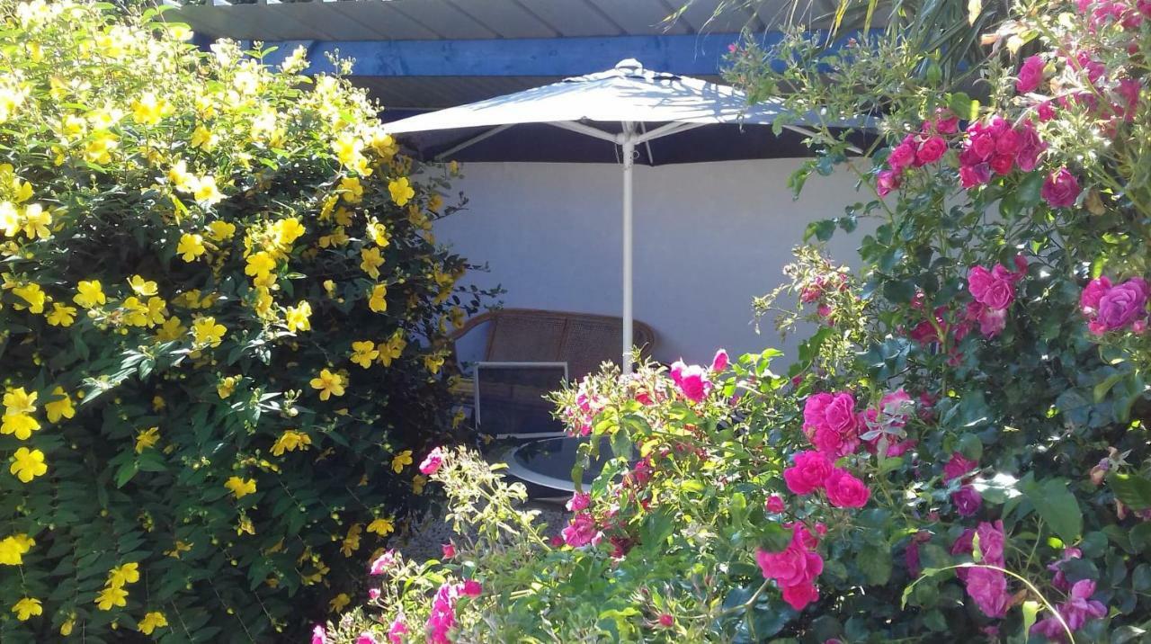 Le Petit Cottage Entre Village Et Mer Trélévern Dış mekan fotoğraf