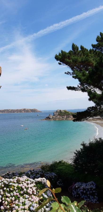 Le Petit Cottage Entre Village Et Mer Trélévern Dış mekan fotoğraf