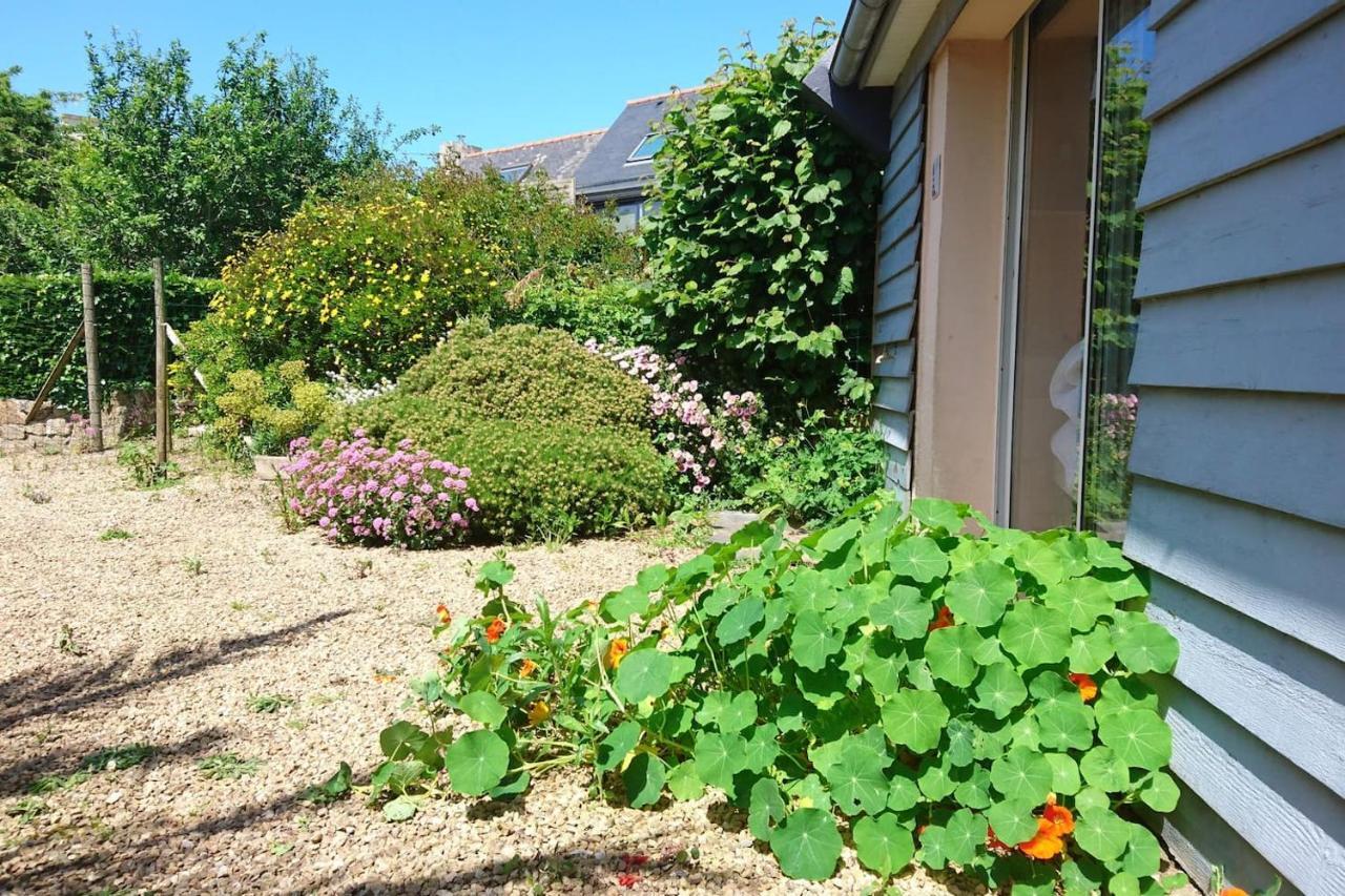 Le Petit Cottage Entre Village Et Mer Trélévern Dış mekan fotoğraf