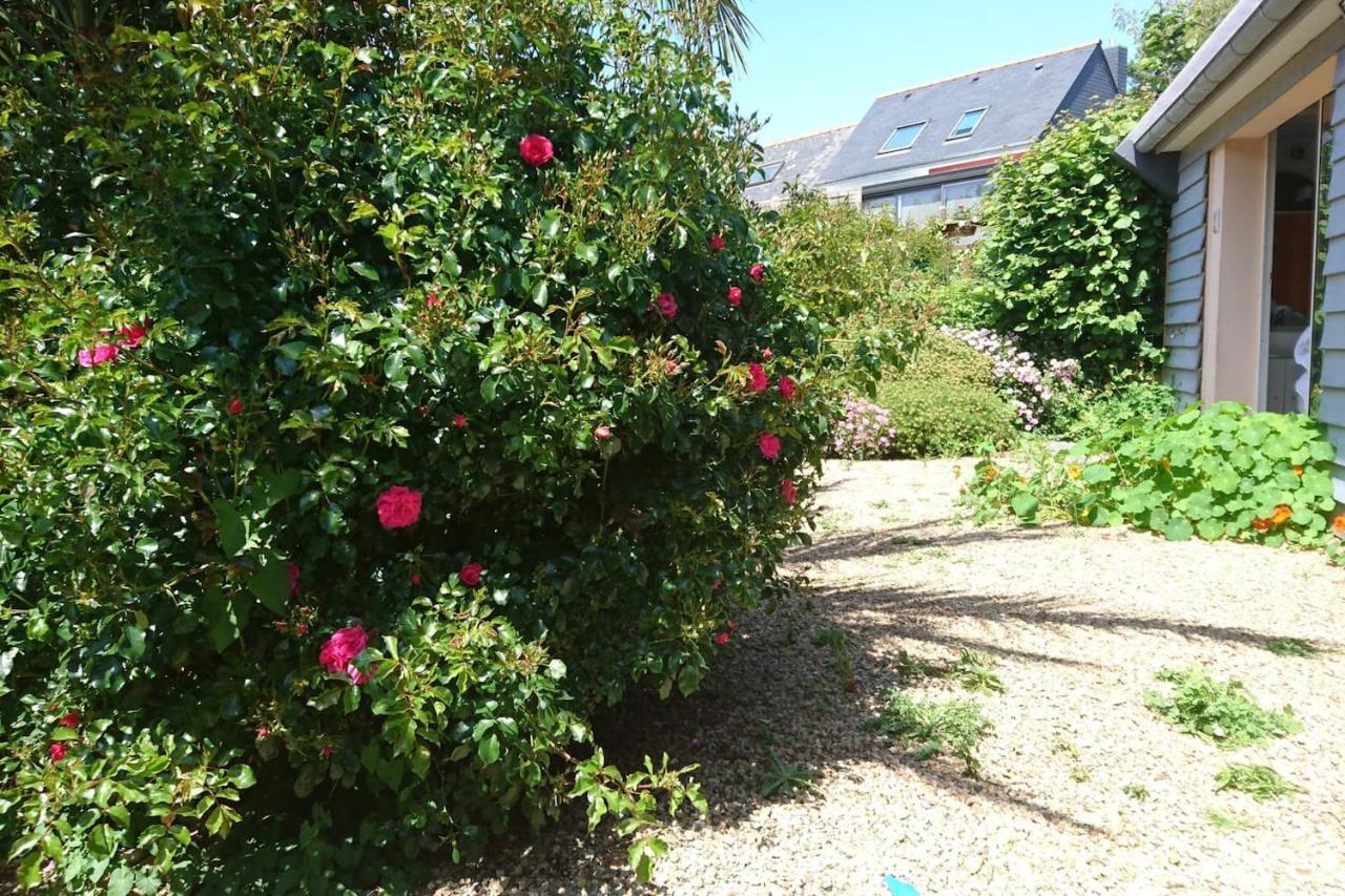 Le Petit Cottage Entre Village Et Mer Trélévern Dış mekan fotoğraf